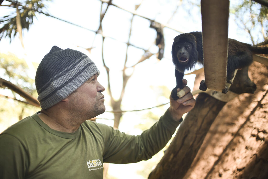 Zoo de Brasília divulga aprovados no processo seletivo de voluntários