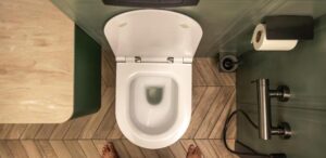 Por que algumas pessoas colocam sal no vaso sanitário antes de dormir