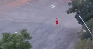 Bombeiro mata cachorro após suposto ataque no Serra Dourada