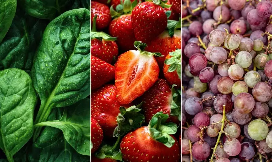 WhatsApp Image 2026-04-21 at 17.00.10