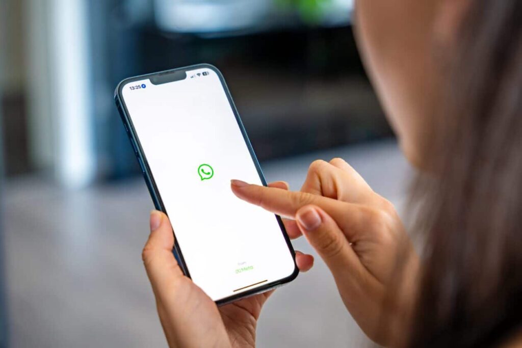 Governo contraria Meta e mantém WhatsApp restrito a menores de 14 anos