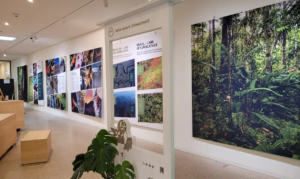 Exposição na Alemanha destaca biodiversidade de parques brasileiros