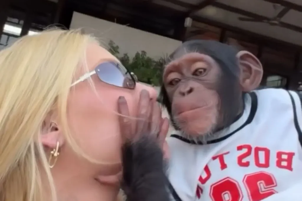 'Que pegada': Virginia beija macaco na boca em Dubai