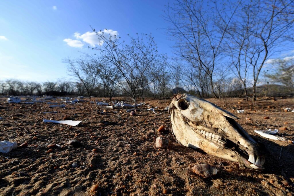 ‘Mudança climática é machista’, alertam ONGs