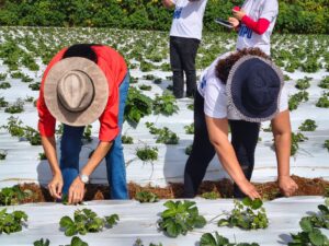 Projeto Mulheres no Campo chega ao fim com mais de 200 mulheres qualificadas