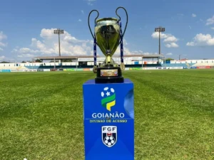 Federação Goiana de Futebol divulga data do Conselho Técnico da Divisão de Acesso do Goianão