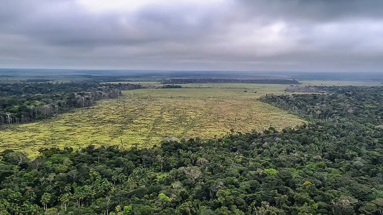 AGU confirma multa de R$ 4,5 milhões por desmatamento ilegal em Roraima