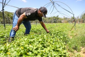 GDF muda fundo rural e amplia crédito na AgroBrasília