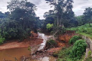 GDF abre chamamento para recuperar vegetação na bacia do rio Melchior