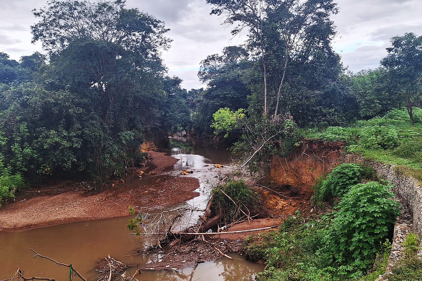 GDF abre chamamento para recuperar vegetação na bacia do rio Melchior