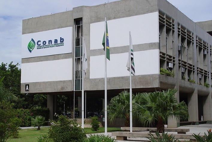 Conab prevê produção de café em 66,7 milhões de sacas na safra 2026, alta de 18%