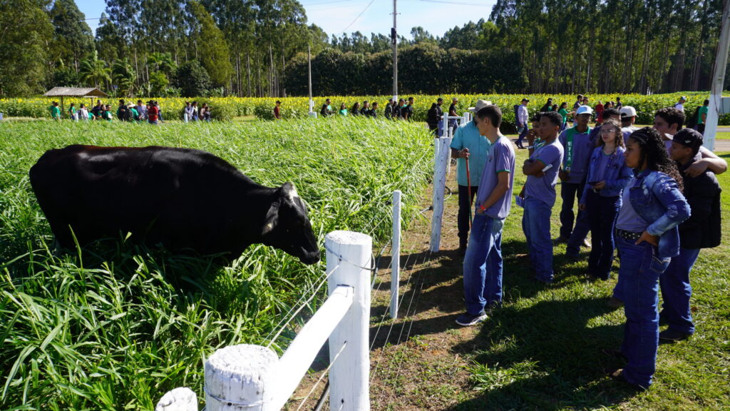 Circuito da bovinocultura leva foco em carne a pasto à AgroBrasília
