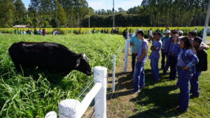 Circuito da bovinocultura leva foco em carne a pasto à AgroBrasília