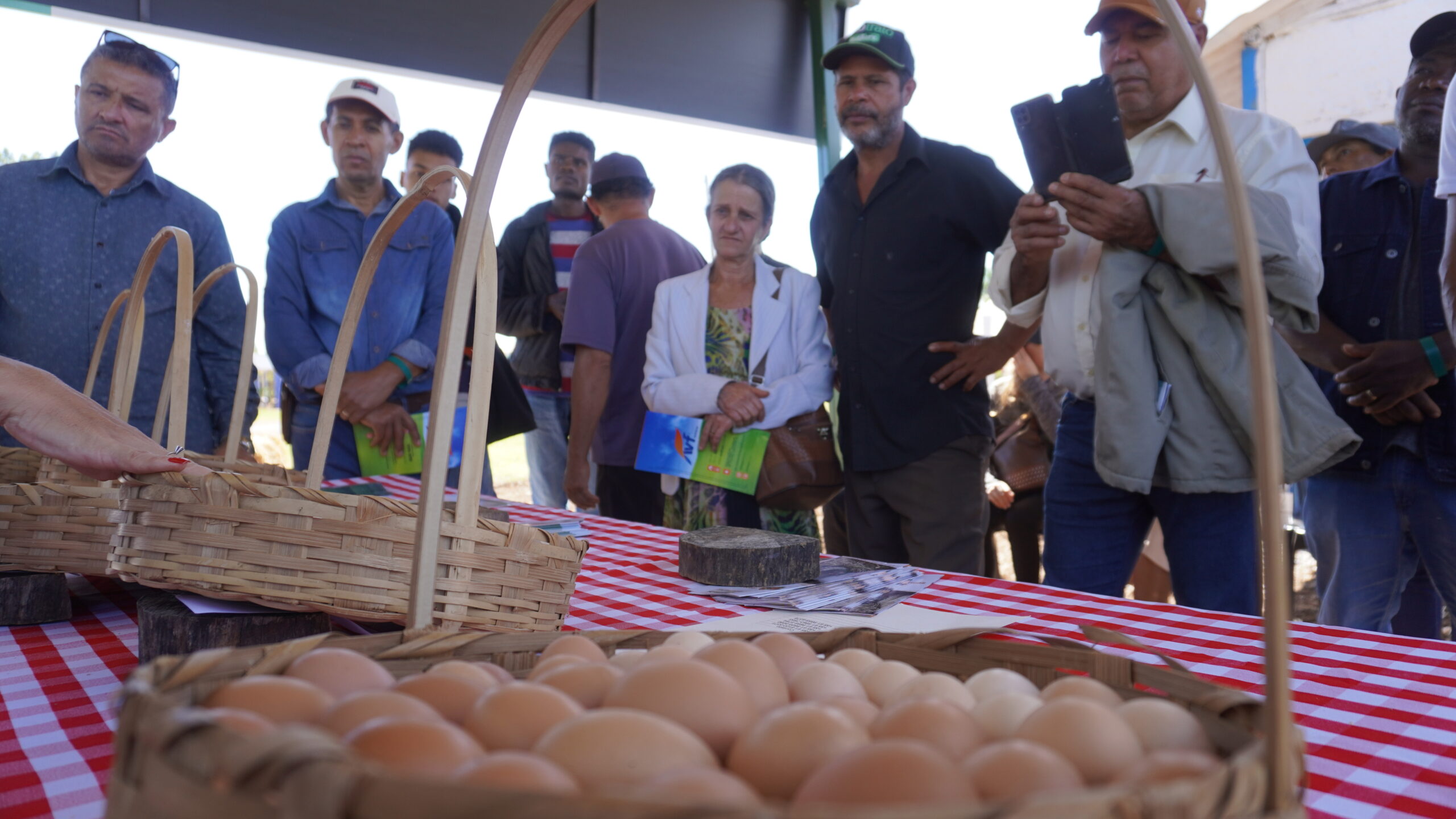 Emater-DF leva modelo de produção de ovos à AgroBrasília 2026
