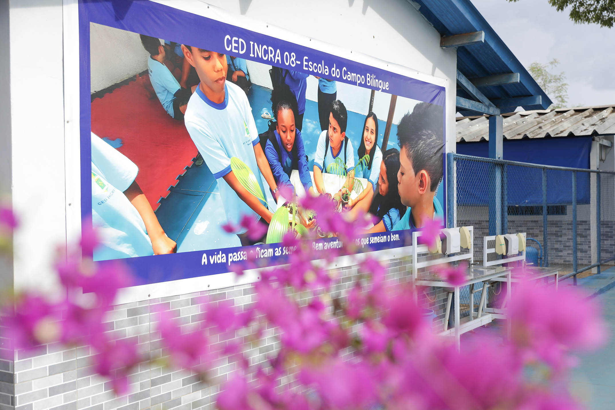 Escolas do DF registram melhora no rendimento após proibição de celulares