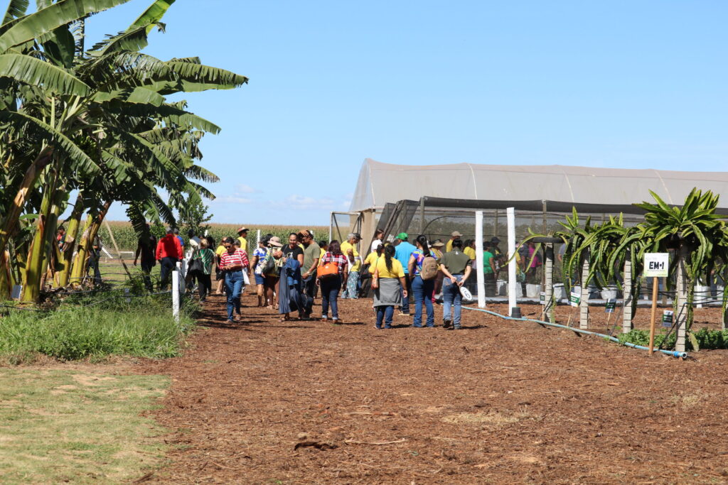 Emater-DF apresenta técnicas de fruticultura na AgroBrasília 2026
