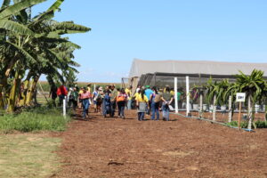 Emater-DF apresenta técnicas de fruticultura na AgroBrasília 2026