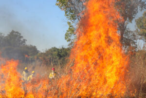 Mudança climática impulsiona incêndios recordes em 2026