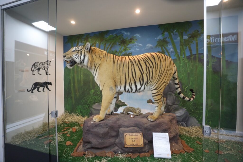 Museu de Ciências Naturais do Zoológico de Brasília reabre após reforma