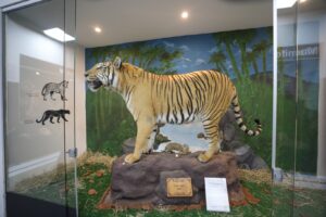 Museu de Ciências Naturais do Zoológico de Brasília reabre após reforma