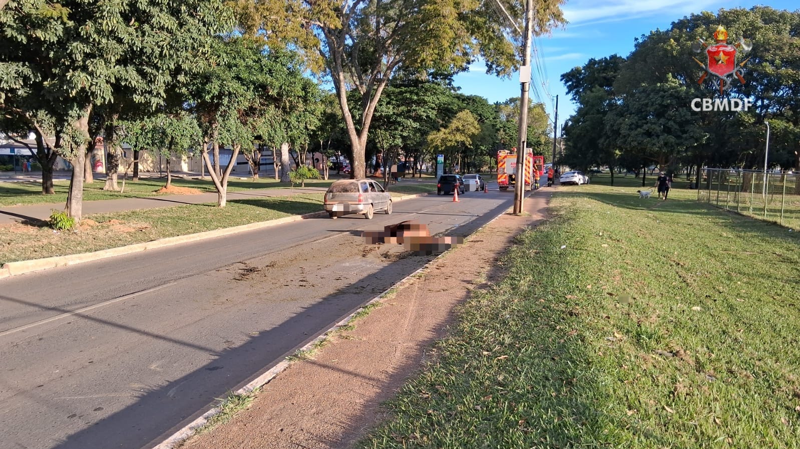 Cavalo morre após ser atingido por veículo em Planaltina