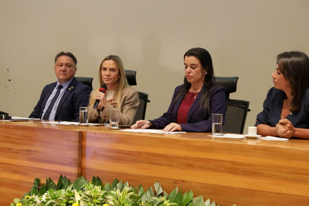 Celina Leão homenageia programa de proteção a mulheres vítimas de violência