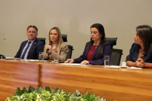 Celina Leão homenageia programa de proteção a mulheres vítimas de violência
