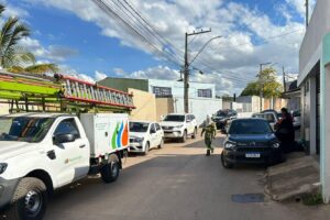 Operação CriptoGato desmonta mineradora ilegal de criptomoedas em Arniqueiras