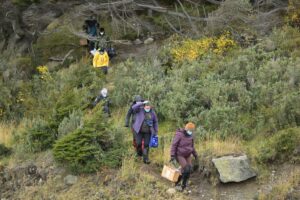 Cientistas argentinos recolhem roedores em Ushuaia para descartar presença do hantavírus