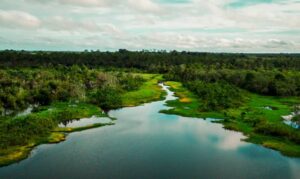 Operadoras de turismo faturam R$ 23,9 bilhões em 2025