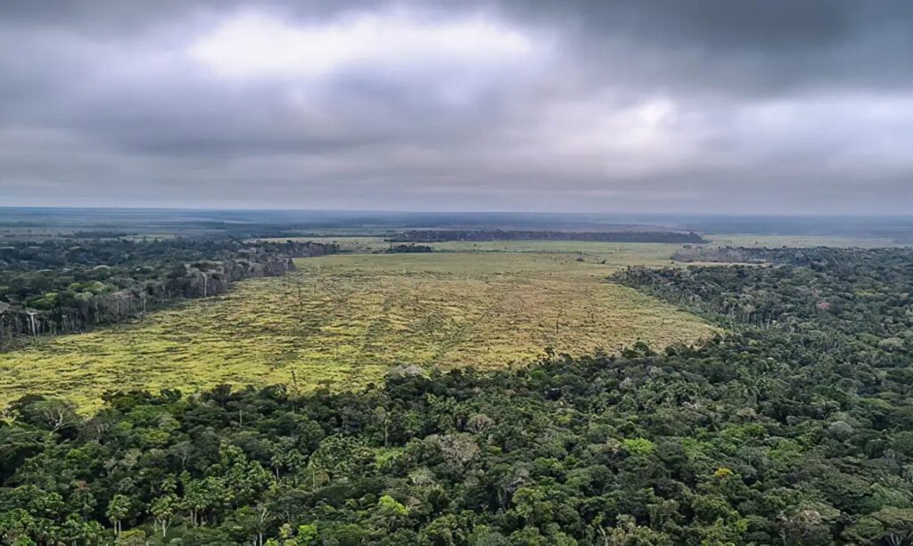 Alertas de desmatamento caem 40% no cerrado e 15% na amazônia em abril