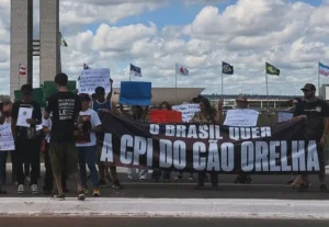 Cruz com nomes de cães vítimas de maus-tratos em Goiânia marca ato por CPI do caso Orelha