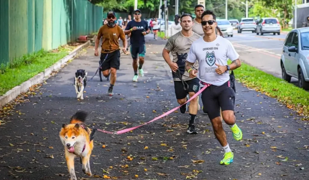 PM promove 'cãominhada' com festa, brindes e comida em Goiânia no domingo (17)