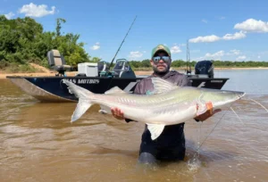 Guia de pesca fisga piraíba de mais de 2 metros no rio Araguaia