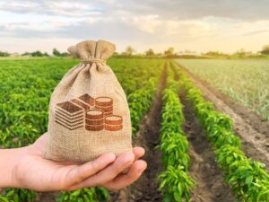 Comissão aprova uso de dados públicos em análise de risco para crédito rural