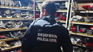 Policial cumprindo mandado - (Foto: reprodução/PCGO)