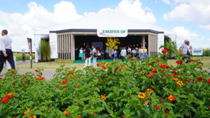 AgroBrasília 2026 apresenta nove circuitos tecnológicos para produção sustentável
