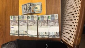 PF investiga fraudes de R$ 200 milhões em contratos de castração de animais no RJ