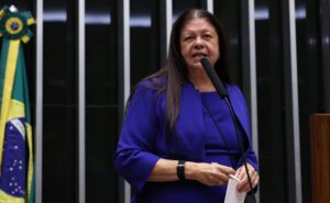 Discussão e votação de propostas legislativas. Dep. Laura Carneiro (PSD-RJ)