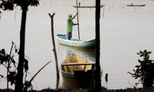 Conferências estaduais de aquicultura e pesca marcam junho e julho