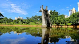 Laudo da Amma determina corte de 48 árvores no Lago das Rosas; delegado ambiental vê espécimes