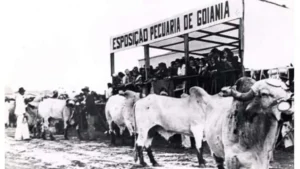 De feira a megashows: primeira Pecuária de Goiânia aconteceu em 1942 com presença de Getúlio Vargas