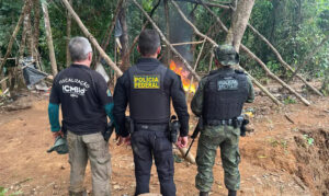 PF combate garimpos ilegais no Amapá e Pará em operação integrada