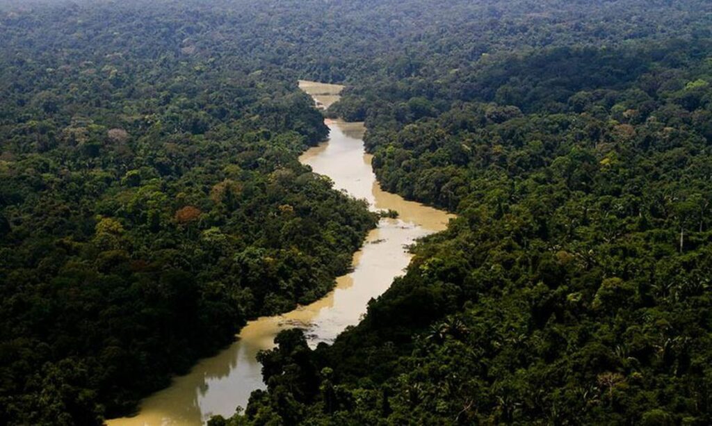 Câmara aprova projeto de lei que reduz limites da Floresta Nacional do Jamanxim