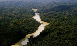 Câmara aprova projeto de lei que reduz limites da Floresta Nacional do Jamanxim