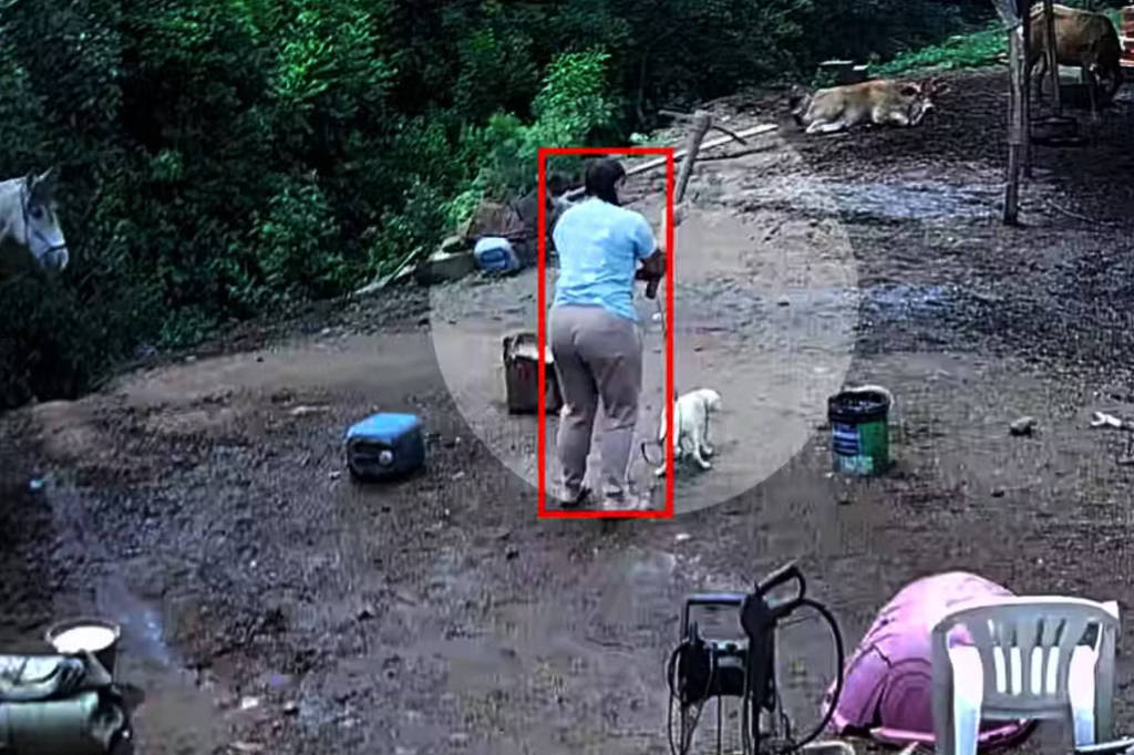 Mulher é investigada por matar cachorro com picareta em Porto Alegre