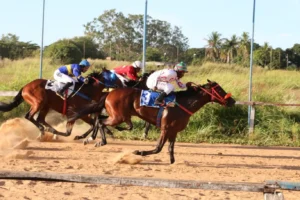 Turfe: esporte em crise X futuro cheio de esperança