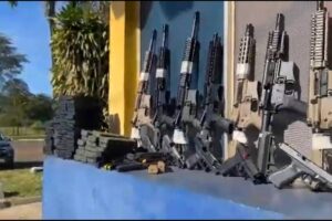 Polícia encontra 26 fuzis em caminhão com carga de ração animal