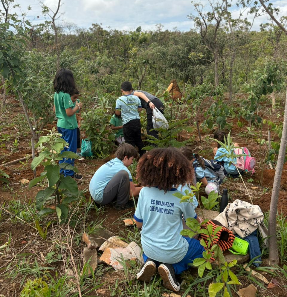 Escolas públicas do DF transformam educação ambiental em prática