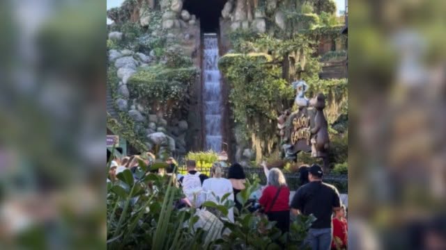 Adolescente cai de atração da Disney e despenca de altura de 15 metros